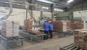 Quy trình sản xuất sàn gỗ công nghiệp