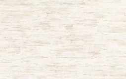 quickstep-u1235