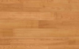 quickstep-u864