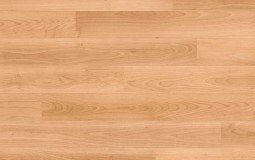 quickstep-u866