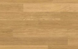quickstep-u896