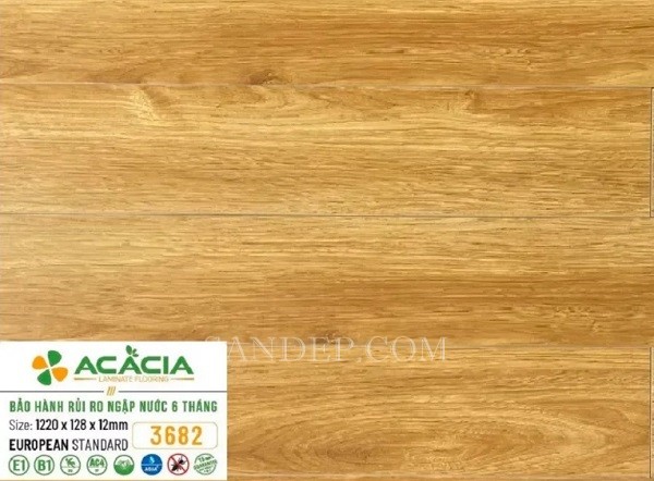 Sàn gỗ Acacia 12mm A3682 Cốt xanh
