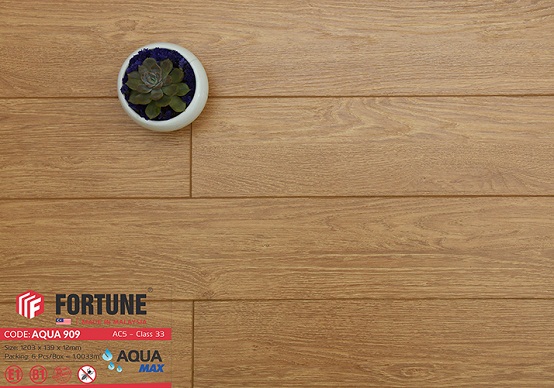 Sàn gỗ Fortune Aqua 909