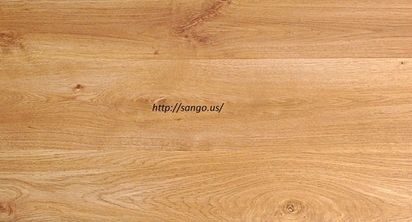Sàn gỗ kronopol D9117
