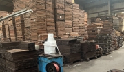 sản xuất sàn gỗ tự nhiên cao cấp