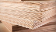 ván gỗ Plywood