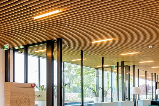 Trần nhựa giả gỗ giá rẻ nhất tại Hà Nội Trần nhựa giả gỗ giá rẻ nhất tại Hà Nội