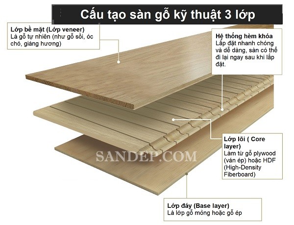 Cấu tạo sàn gỗ kỹ thuật engineered