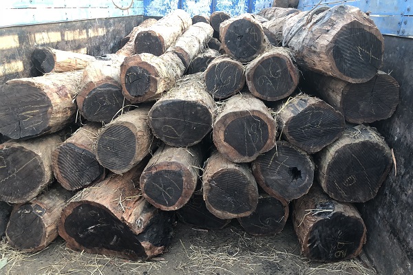 gỗ mun nhập khẩu