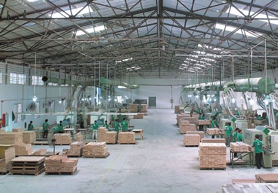 nhà máy sản xuất sàn gỗ tự nhiên