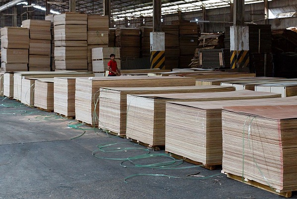 nhà máy sản xuất ván gỗ Plywood