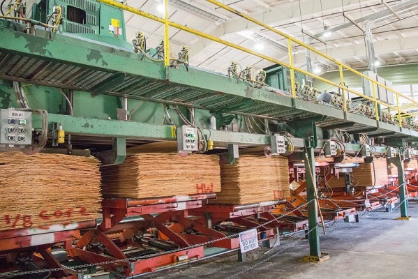 nhà máy sản xuất ván gỗ plywood