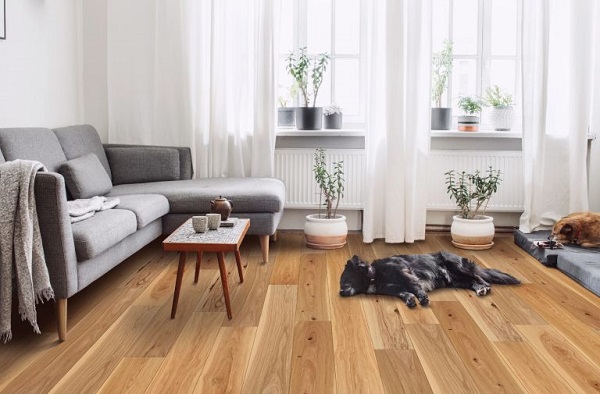sàn gỗ an toàn với sức khỏe
