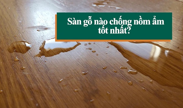 Sàn gỗ nào chống nồm ẩm tốt nhất