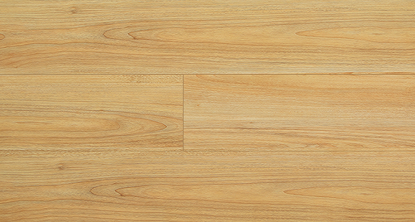 sàn gỗ F8 mã 3121