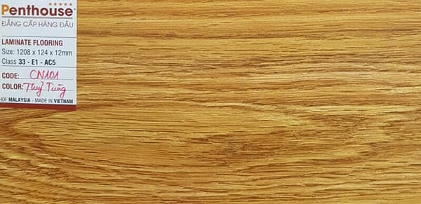 Sàn gỗ Penhouse cn101